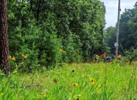 Lot 28 Island Ridge Rd, Purgitsville, WV 26852
