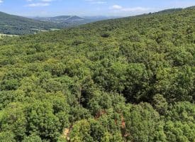 480 High Mountain Rd, Romney, WV 26757