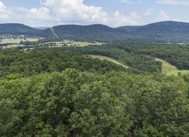395 Oak Park Rd, Burlington, WV 26710