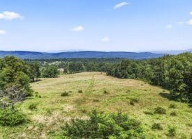 7236 Spring Gap Rd, Slanesville, WV 25444