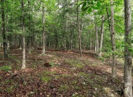 Lot 28 Island Ridge Rd, Purgitsville, WV 26852