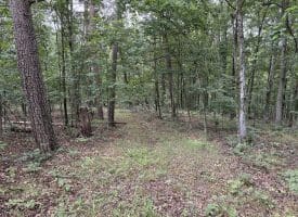 9.31 Ac Pine Tree Dr, Bloomery, WV 26817