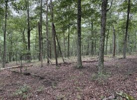 9.31 Ac Pine Tree Dr, Bloomery, WV 26817
