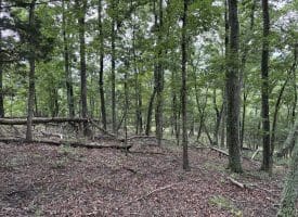 9.31 Ac Pine Tree Dr, Bloomery, WV 26817