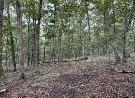 9.31 Ac Pine Tree Dr, Bloomery, WV 26817