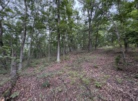9.31 Ac Pine Tree Dr, Bloomery, WV 26817