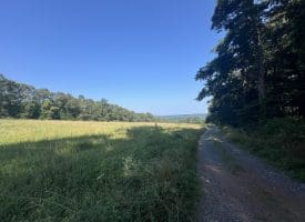 7236 Spring Gap Rd, Slanesville, WV 25444