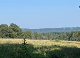7236 Spring Gap Rd, Slanesville, WV 25444