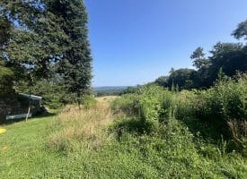 7236 Spring Gap Rd, Slanesville, WV 25444