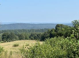 7236 Spring Gap Rd, Slanesville, WV 25444