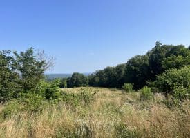 7236 Spring Gap Rd, Slanesville, WV 25444