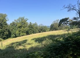 7236 Spring Gap Rd, Slanesville, WV 25444