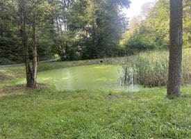 967 Winchester St, Paw Paw, WV 265434
