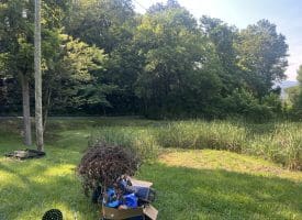 967 Winchester St, Paw Paw, WV 265434