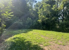 967 Winchester St, Paw Paw, WV 265434