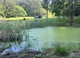 967 Winchester St, Paw Paw, WV 265434