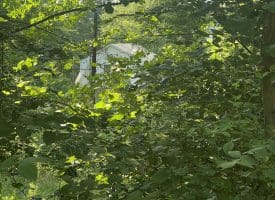 967 Winchester St, Paw Paw, WV 265434