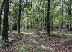 26.33 Acres Hickory Corner Rd, Augusta, WV 26704