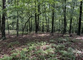 26.33 Acres Hickory Corner Rd, Augusta, WV 26704