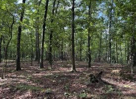 26.33 Acres Hickory Corner Rd, Augusta, WV 26704