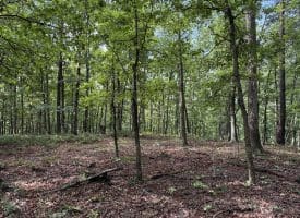 26.33 Acres Hickory Corner Rd, Augusta, WV 26704