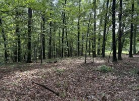 26.33 Acres Hickory Corner Rd, Augusta, WV 26704