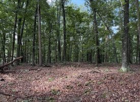 26.33 Acres Hickory Corner Rd, Augusta, WV 26704