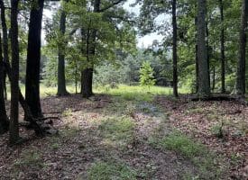 26.33 Acres Hickory Corner Rd, Augusta, WV 26704