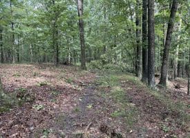 26.33 Acres Hickory Corner Rd, Augusta, WV 26704