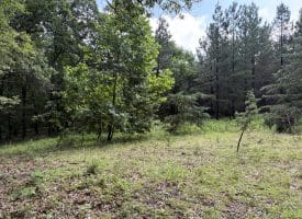 26.33 Acres Hickory Corner Rd, Augusta, WV 26704