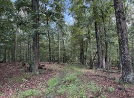 26.33 Acres Hickory Corner Rd, Augusta, WV 26704