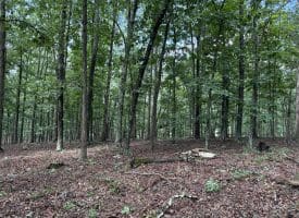 26.33 Acres Hickory Corner Rd, Augusta, WV 26704
