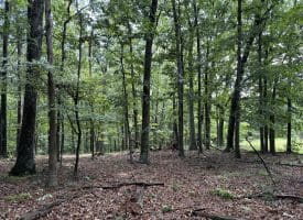 26.33 Acres Hickory Corner Rd, Augusta, WV 26704