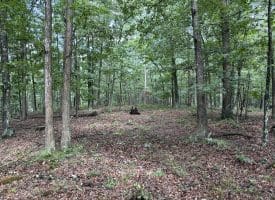 26.33 Acres Hickory Corner Rd, Augusta, WV 26704