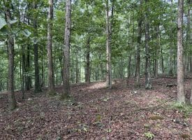 26.33 Acres Hickory Corner Rd, Augusta, WV 26704
