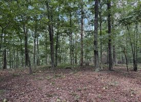 26.33 Acres Hickory Corner Rd, Augusta, WV 26704
