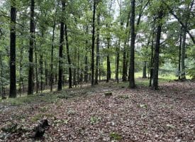 26.33 Acres Hickory Corner Rd, Augusta, WV 26704
