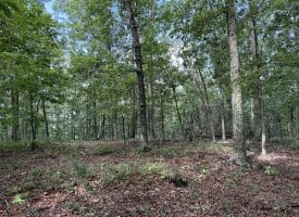 26.33 Acres Hickory Corner Rd, Augusta, WV 26704