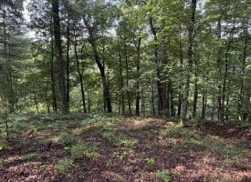 552 Twin Flower Ln, Slanesville, WV 25444