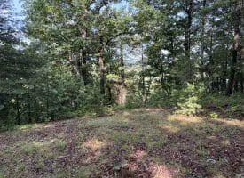 552 Twin Flower Ln, Slanesville, WV 25444