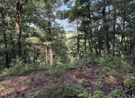 552 Twin Flower Ln, Slanesville, WV 25444