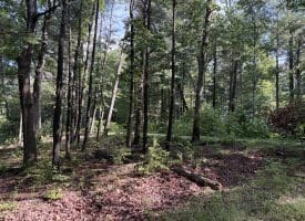 552 Twin Flower Ln, Slanesville, WV 25444