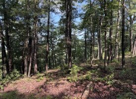 552 Twin Flower Ln, Slanesville, WV 25444