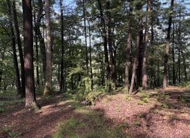 552 Twin Flower Ln, Slanesville, WV 25444