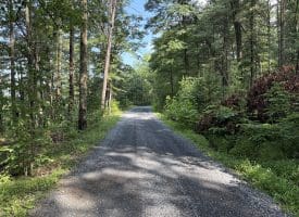 552 Twin Flower Ln, Slanesville, WV 25444