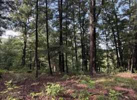 552 Twin Flower Ln, Slanesville, WV 25444