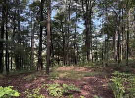552 Twin Flower Ln, Slanesville, WV 25444