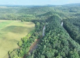 552 Twin Flower Ln, Slanesville, WV 25444