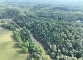 552 Twin Flower Ln, Slanesville, WV 25444