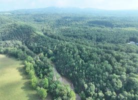 552 Twin Flower Ln, Slanesville, WV 25444